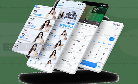 数据洞察，精准决策基石